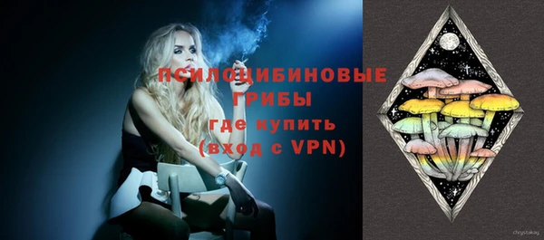 ПСИЛОЦИБИНОВЫЕ ГРИБЫ Надым