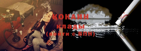 амф Болотное