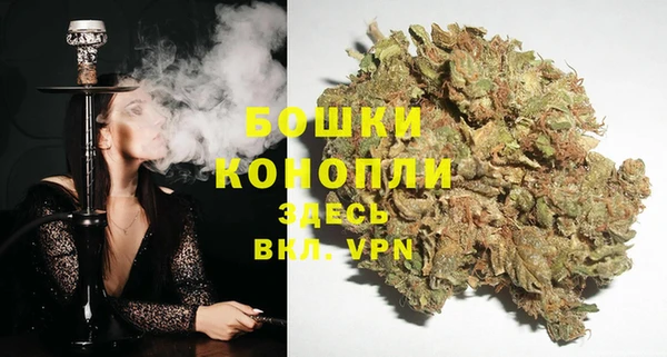 молекула духа Нефтекумск