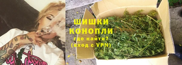 ПСИЛОЦИБИНОВЫЕ ГРИБЫ Надым