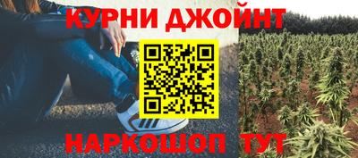 крисы Изобильный