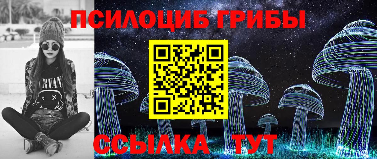 Псилоцибиновые грибы Magic Shrooms  Вход с VPN  Ртищево  Галлюциногенные грибы MAGIC MUSHROOMS 